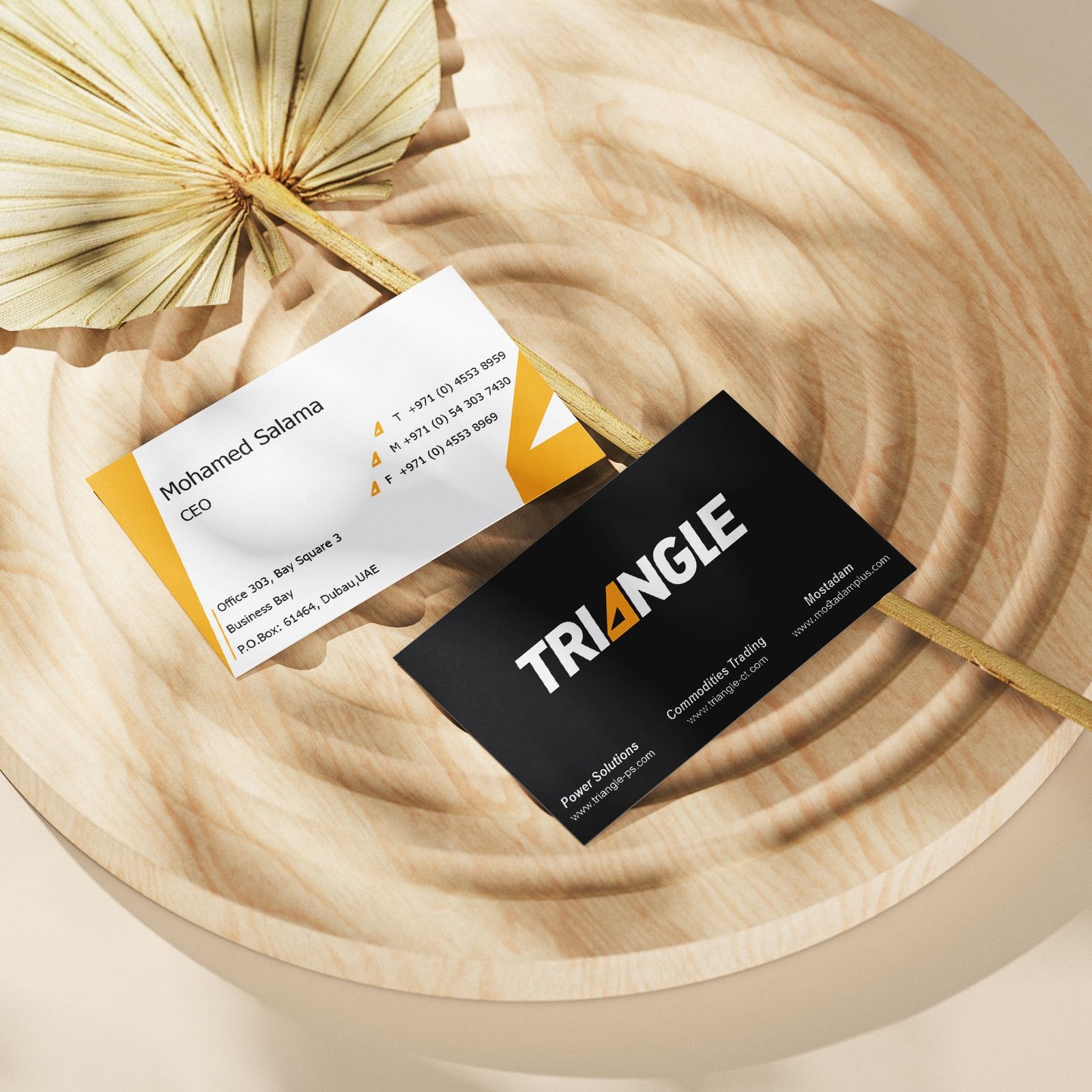 Test Business Card for Triangle Company